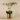 Flowers-Artificial Orchid in Gold Vase-Bloomr