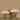 Floral Arrangement-Tulip Arrangement in Glass Vase-Bloomr