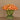 Floral Arrangement-Tulip Arrangement in Glass Vase-Bloomr