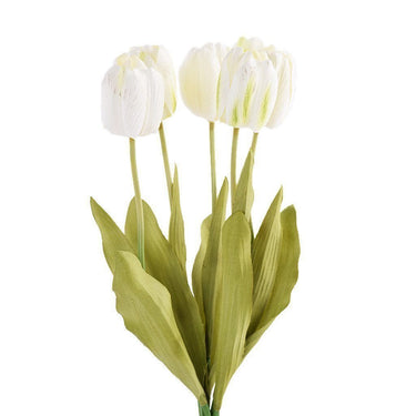 Flowers-Tulip Discontinued-Bloomr