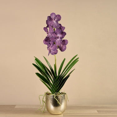 Flowers-Vanda Arrangement-Bloomr