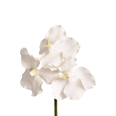 Flowers-Vanda Stem-Bloomr
