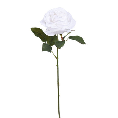 Flowers-Velvet Rose-Bloomr