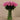 Flowers-Artificial Rose Arrangement in Glass Vase-Bloomr