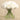 Floral Arrangement-Artificial Peony Arrangement in Glass Vase-Bloomr
