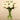 Flowers-Artificial Peony Arrangement in Glass Vase-Bloomr