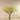 Flowers-Artificial Blossom Spray in Glass Vase-Bloomr