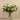 Flowers-Artificial Rose Arrangement in Glass Vase-Bloomr