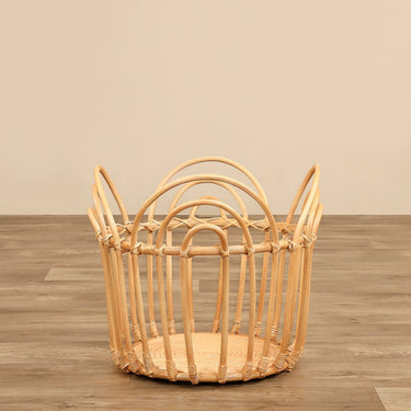Furniture-Basket-Bloomr