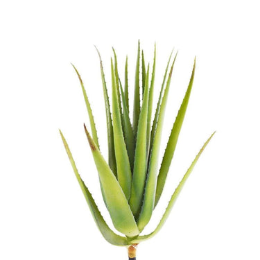 Greenery-Aloe Leaves-Bloomr