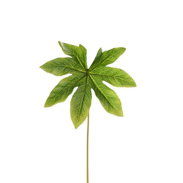 Greenery-Aralia Leaf-Bloomr