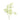 Greenery-Artenmisia-Bloomr