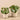 Greenery-Artificial Pancake Plant in Pot-Bloomr