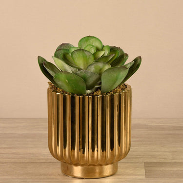Greenery-Artificial Potted Succulent-Bloomr