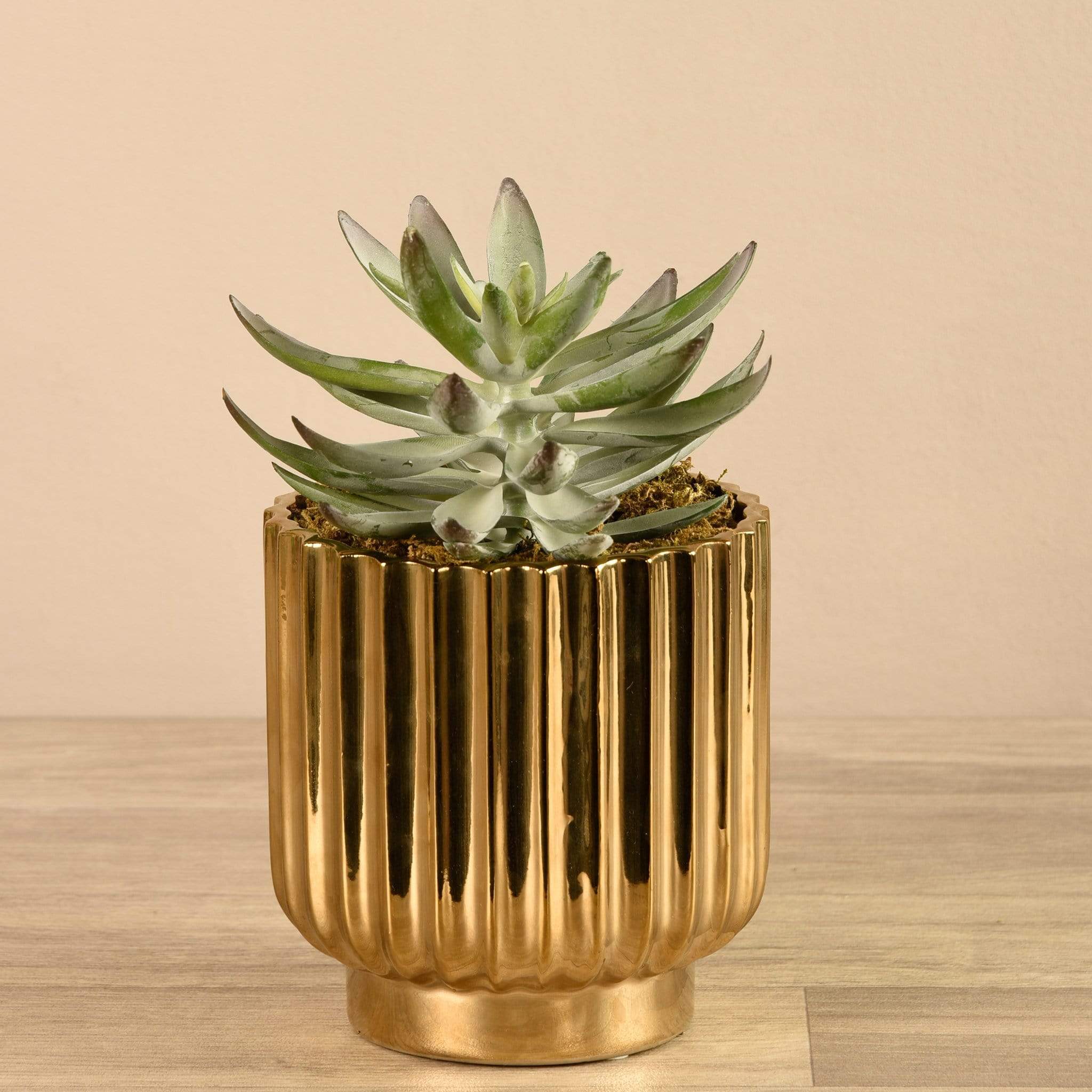 gold potted succulent Artificial Potted Succulent – Bloomr