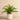 Greenery-Artificial Potted Fern-Bloomr