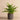 Greenery-Artificial Potted Fern-Bloomr