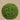 Greenery-Boxwood Ball-Bloomr
