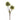 Greenery-Boxwood Branch-Bloomr