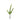Greenery-Cactus-Bloomr