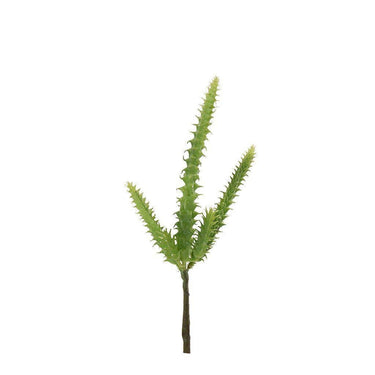 Greenery-Cactus-Bloomr