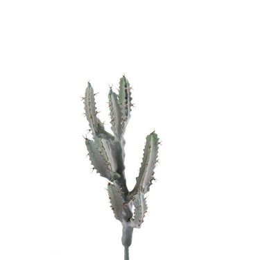 Greenery-Cactus-Bloomr