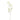 Greenery-Cedar Spray-Bloomr