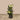 Trees-Artificial Diffenbachia Plant-Bloomr