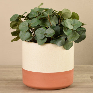 Greenery-Artificial Eucalyptus Arrangement in Ceramic Vase-Bloomr