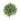 Greenery-Eucalyptus-Bloomr