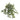 Greenery-Ivy (Discontinued)-Bloomr