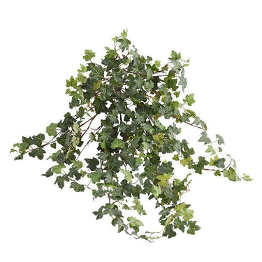 Greenery-Ivy (Discontinued)-Bloomr