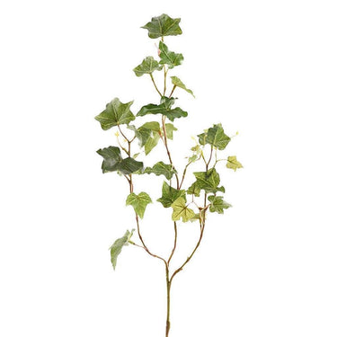 Greenery-Ivy-Bloomr