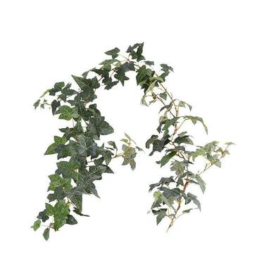 Greenery-Ivy-Bloomr