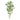 Greenery-Ivy-Bloomr