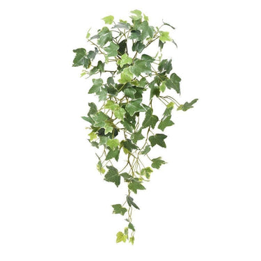 Greenery-Ivy-Bloomr