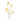 Greenery-Kangaroo Paw-Bloomr