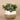 Greenery-Artificial Eucalyptus Arrangement in Ceramic Vase-Bloomr