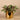 Greenery-Artificial Potted Dark Vanilla Leaf Plant-Bloomr