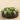 Greenery-Artificial Succulent Arrangement in Bowl-Bloomr