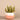Greenery-Santa Fe Succulent Arrangement-Bloomr