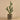 Greenery-Potted Cactus (Discontinued)-Bloomr
