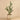 Greenery-Potted Cactus-Bloomr