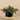 Greenery-Artificial Potted Vanilla Leaf Plant-Bloomr