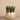 Greenery-Artificial Santa Fe Aloe Arrangement-Bloomr