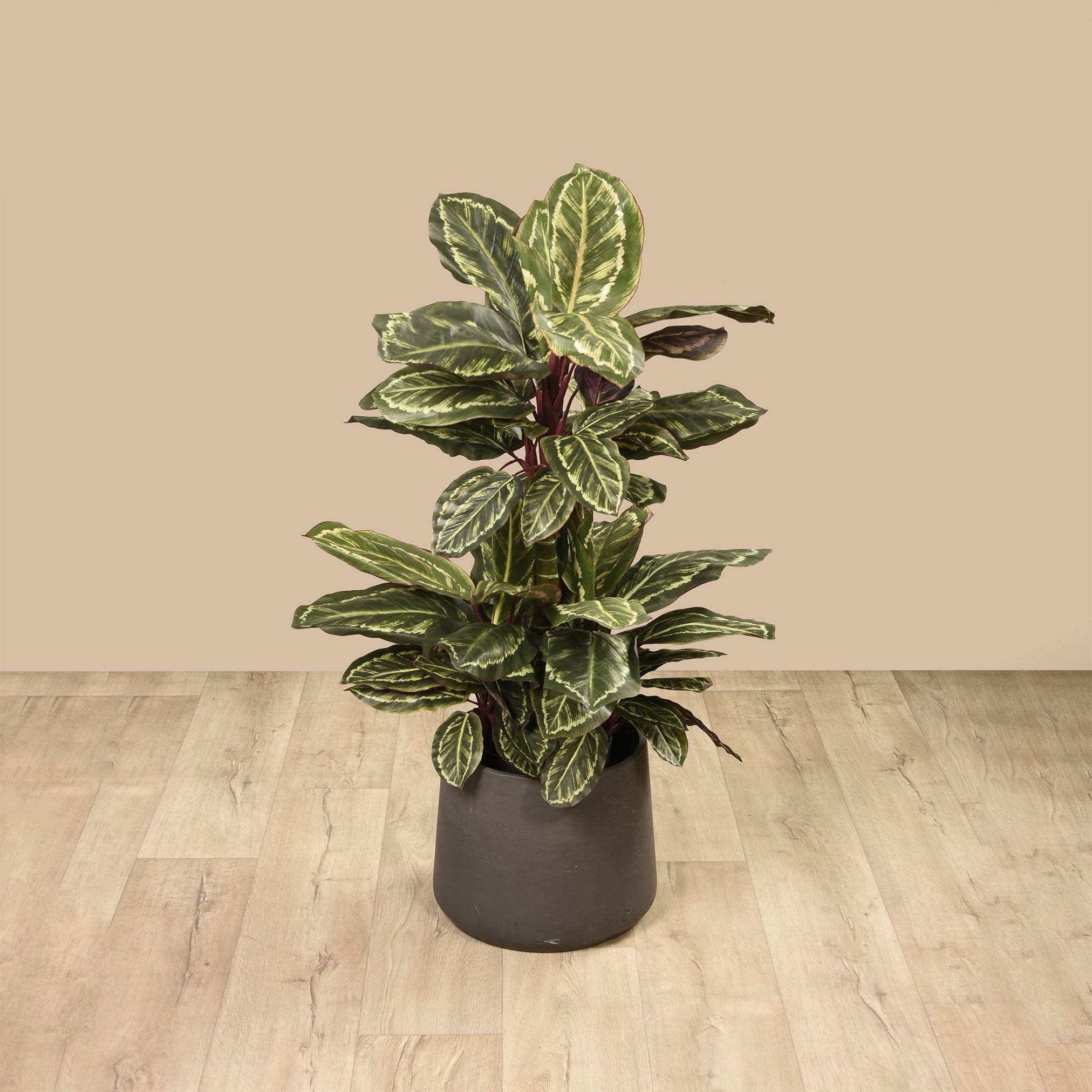 fake prayer plant Shop Artificial Maranta Plants Best Fake Plants