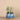 Greenery-Santa Fe Succulent Arrangement-Bloomr