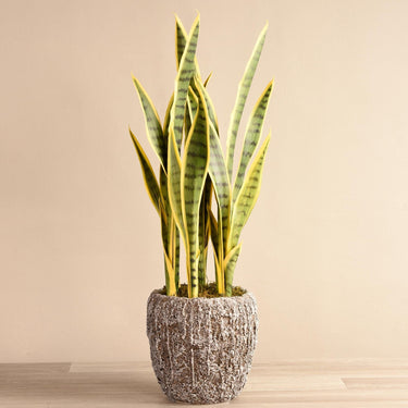 Greenery-Artificial Potted Snake Plant-Bloomr