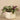 Greenery-Artificial Potted Vanilla Leaf Plant-Bloomr