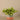 Greenery-Artificial Potted Vanilla Leaf Plant-Bloomr